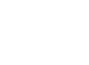 Guadalupe Centers